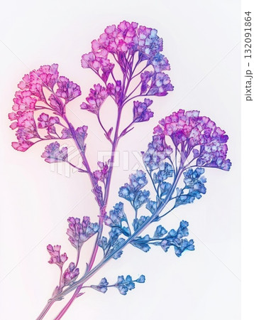 Colorful spring wildflowers illustration, bright floral pattern, botanical artwork, white background Colorful spring wildflowers illustration, bright floral pattern, botanical artwork, white background 132091864