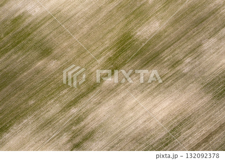 farm field, agriculture, view from above 132092378