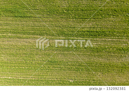 farm field, agriculture, view from above farm field, agriculture, view from above 132092381