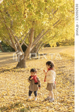 秋の公園で遊ぶきょうだい 秋の公園で遊ぶきょうだい 132092630