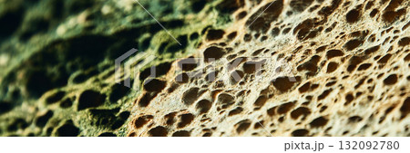 Close-up of porous rock surface with textured holes and green moss Close-up of porous rock surface with textured holes and green moss 132092780