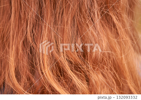 Close-up of wavy red hair with natural highlights and texture in soft lighting 132093332