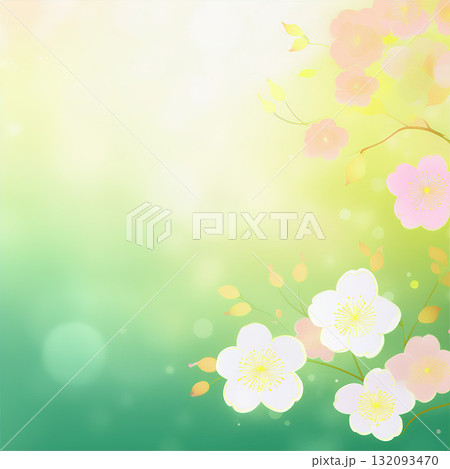 初春に咲く梅の花 132093470