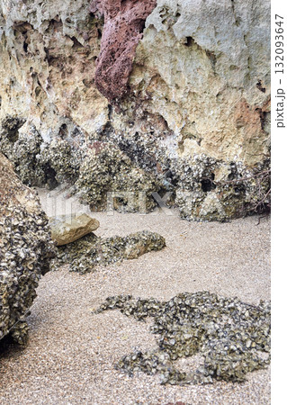 Rocky shoreline with shell-covered rocks and sandy beach 132093647