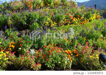 阿寒イオマプの庭 132093972