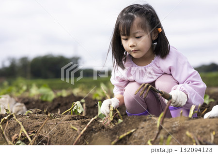 サツマイモを収穫するかわいい女の子 サツマイモを収穫するかわいい女の子 132094128