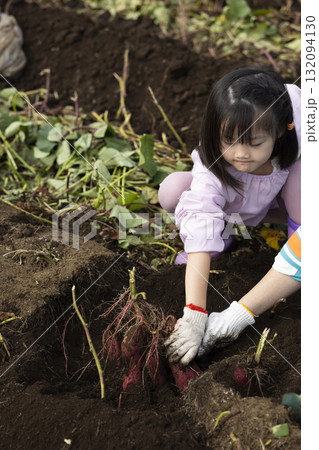 サツマイモを収穫するかわいい女の子 サツマイモを収穫するかわいい女の子 132094130