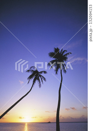 ヤシの木と海に沈む夕日 132094153
