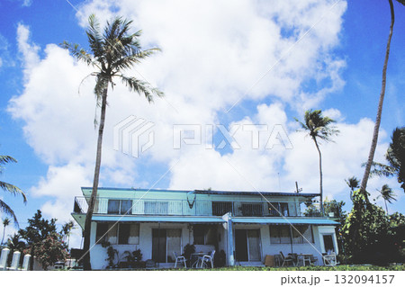 青空に映える椰子の木とビーチ沿いの民家 132094157