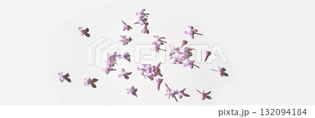 Scattered lilac flowers on white background with soft shadows Scattered lilac flowers on white background with soft shadows 132094184