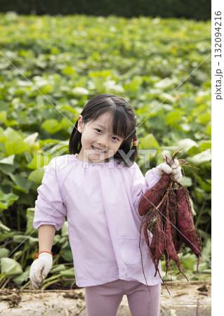 サツマイモを収穫するかわいい女の子 132094216