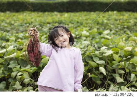 サツマイモを収穫するかわいい女の子 132094220
