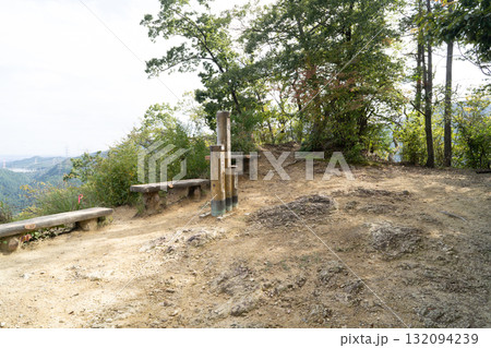 城山（戸倉城跡）の山頂（東京都あきる野市） 132094239