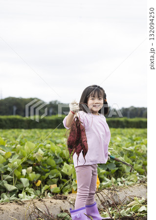 サツマイモを収穫するかわいい女の子 132094250