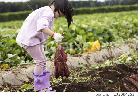 サツマイモを収穫するかわいい女の子 132094253