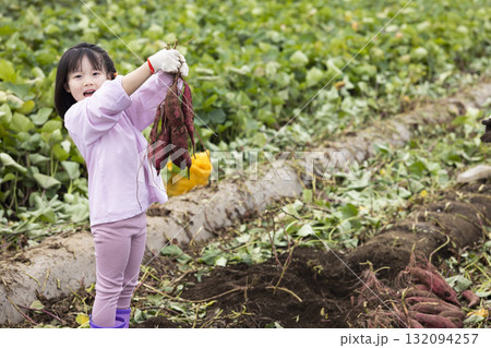 サツマイモを収穫するかわいい女の子 132094257