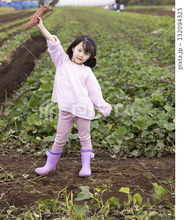 サツマイモを収穫するかわいい女の子 サツマイモを収穫するかわいい女の子 132094325