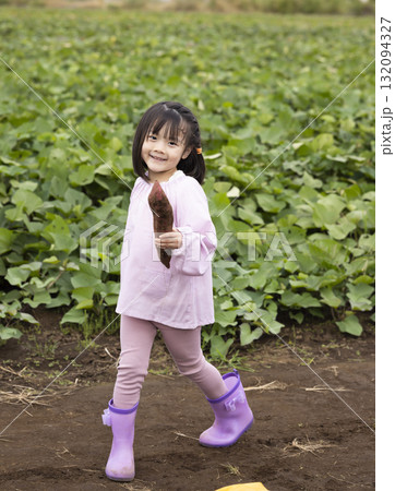 サツマイモを収穫するかわいい女の子 132094327