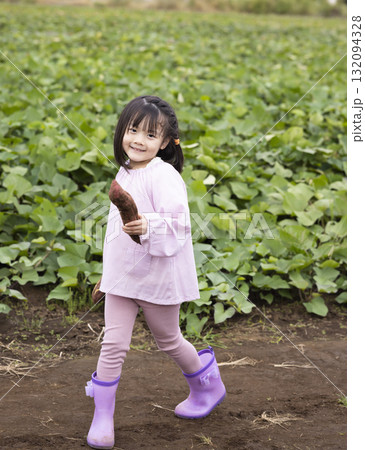 サツマイモを収穫するかわいい女の子 132094328