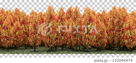 forest line with shadows under the trees, isolated on transparent background, 3D illustration, cg render forest line with shadows under the trees, isolated on transparent background, 3D illustration, cg render 132094474