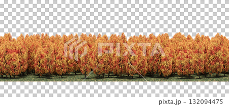 forest line with shadows under the trees, isolated on transparent background, 3D illustration, cg render forest line with shadows under the trees, isolated on transparent background, 3D illustration, cg render 132094475