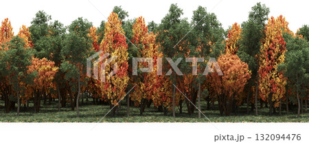 forest line with shadows under the trees, isolated on transparent background, 3D illustration, cg render forest line with shadows under the trees, isolated on transparent background, 3D illustration, cg render 132094476
