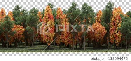 forest line with shadows under the trees, isolated on transparent background, 3D illustration, cg render 132094476