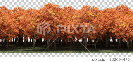 forest line with shadows under the trees, isolated on transparent background, 3D illustration, cg render forest line with shadows under the trees, isolated on transparent background, 3D illustration, cg render 132094479