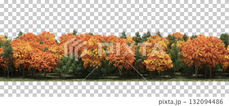 forest line with shadows under the trees, isolated on transparent background, 3D illustration, cg render forest line with shadows under the trees, isolated on transparent background, 3D illustration, cg render 132094486