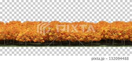 forest line with shadows under the trees, isolated on transparent background, 3D illustration, cg render 132094488