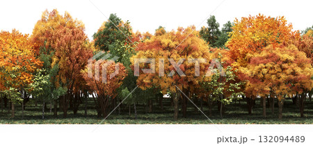 forest line with shadows under the trees, isolated on transparent background, 3D illustration, cg render forest line with shadows under the trees, isolated on transparent background, 3D illustration, cg render 132094489