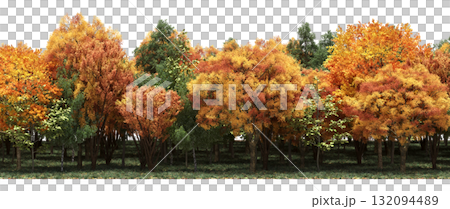 forest line with shadows under the trees, isolated on transparent background, 3D illustration, cg render forest line with shadows under the trees, isolated on transparent background, 3D illustration, cg render 132094489
