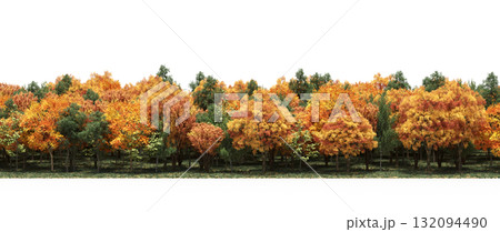 forest line with shadows under the trees, isolated on transparent background, 3D illustration, cg render forest line with shadows under the trees, isolated on transparent background, 3D illustration, cg render 132094490