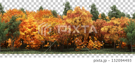 forest line with shadows under the trees, isolated on transparent background, 3D illustration, cg render forest line with shadows under the trees, isolated on transparent background, 3D illustration, cg render 132094493