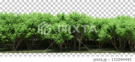 forest line with shadows under the trees, isolated on transparent background, 3D illustration, cg render forest line with shadows under the trees, isolated on transparent background, 3D illustration, cg render 132094495