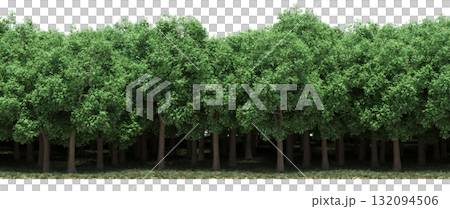forest line with shadows under the trees, isolated on transparent background, 3D illustration, cg render 132094506