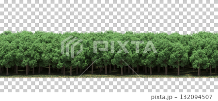 forest line with shadows under the trees, isolated on transparent background, 3D illustration, cg render forest line with shadows under the trees, isolated on transparent background, 3D illustration, cg render 132094507