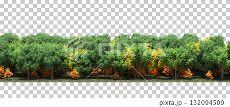 forest line with shadows under the trees, isolated on transparent background, 3D illustration, cg render forest line with shadows under the trees, isolated on transparent background, 3D illustration, cg render 132094509
