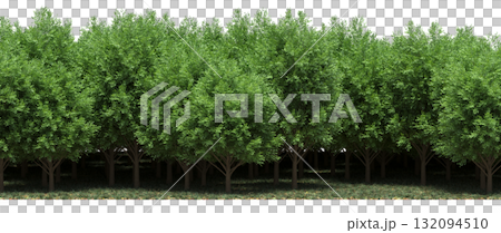 forest line with shadows under the trees, isolated on transparent background, 3D illustration, cg render forest line with shadows under the trees, isolated on transparent background, 3D illustration, cg render 132094510