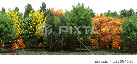 forest line with shadows under the trees, isolated on transparent background, 3D illustration, cg render 132094516