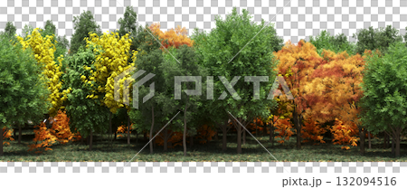 forest line with shadows under the trees, isolated on transparent background, 3D illustration, cg render 132094516