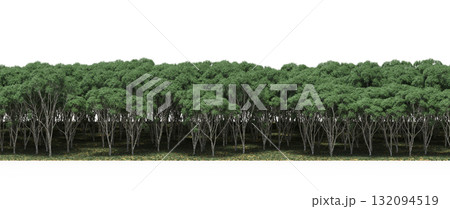 forest line with shadows under the trees, isolated on transparent background, 3D illustration, cg render 132094519