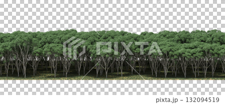 forest line with shadows under the trees, isolated on transparent background, 3D illustration, cg render 132094519