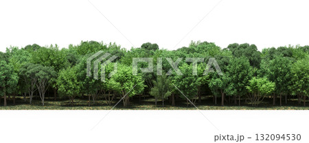 forest line with shadows under the trees, isolated on transparent background, 3D illustration, cg render 132094530