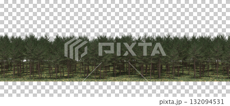 forest line with shadows under the trees, isolated on transparent background, 3D illustration, cg render 132094531