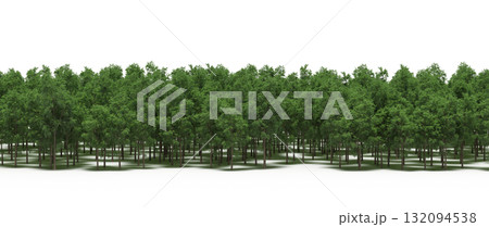 forest line with shadows under the trees, isolated on transparent background, 3D illustration, cg render forest line with shadows under the trees, isolated on transparent background, 3D illustration, cg render 132094538