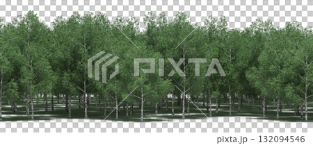 forest line with shadows under the trees, isolated on transparent background, 3D illustration, cg render forest line with shadows under the trees, isolated on transparent background, 3D illustration, cg render 132094546