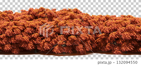 forest line with shadows under the trees, isolated on transparent background, 3D illustration, cg render forest line with shadows under the trees, isolated on transparent background, 3D illustration, cg render 132094550