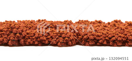 forest line with shadows under the trees, isolated on transparent background, 3D illustration, cg render forest line with shadows under the trees, isolated on transparent background, 3D illustration, cg render 132094551