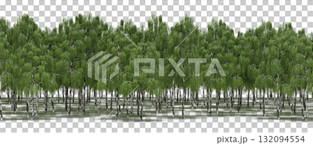 forest line with shadows under the trees, isolated on transparent background, 3D illustration, cg render forest line with shadows under the trees, isolated on transparent background, 3D illustration, cg render 132094554